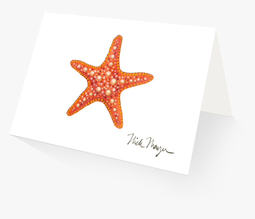 Horned Sea Star - Starfish, HD Png Download