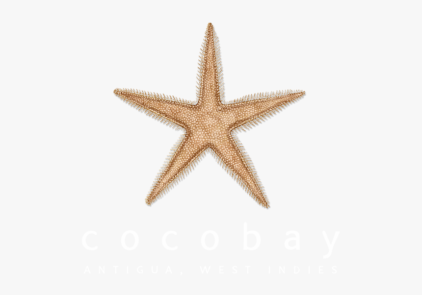 Cocobay Resort Antigua Logo, HD Png Download