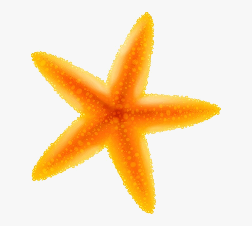 Starfish Yellow Clipart Transparent Png - Starfish, Png Download