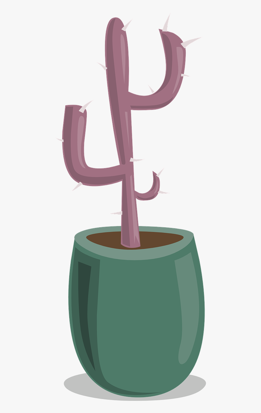 Cactus, HD Png Download
