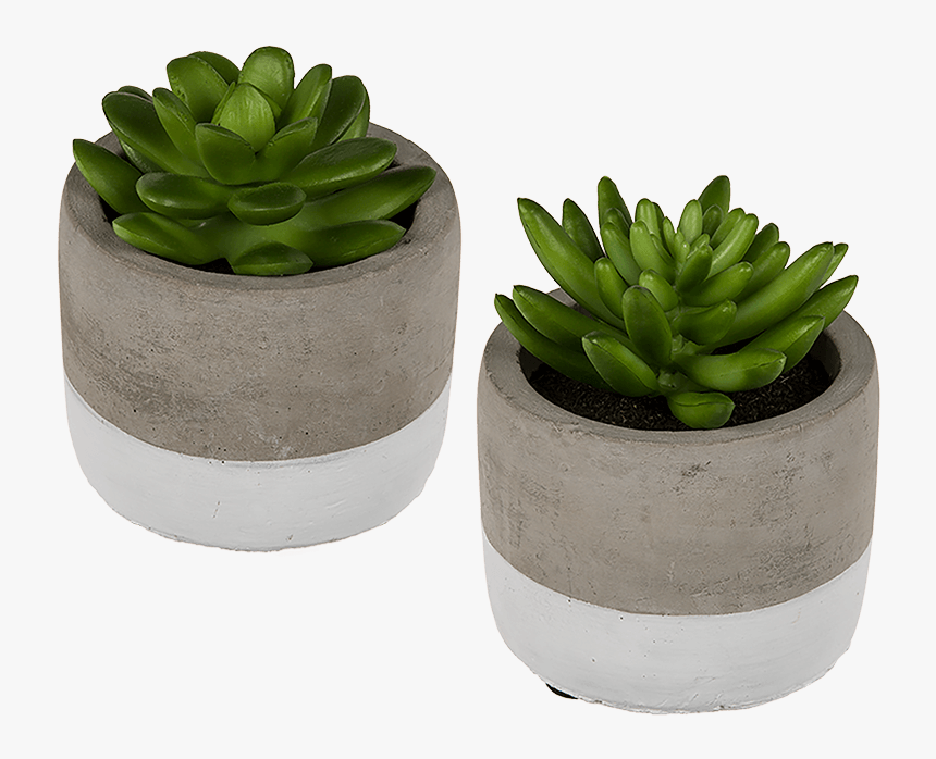 Stone Pots For Succulents, HD Png Download