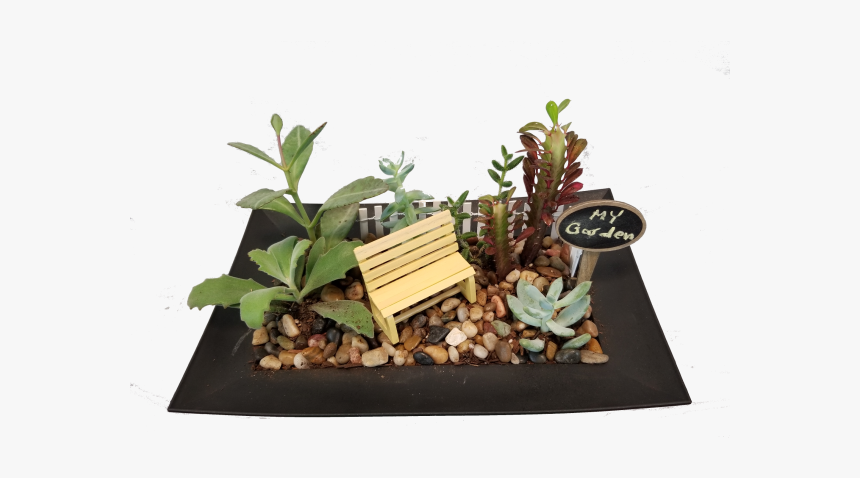 Whimsical Succulent Garden - Houseplant, HD Png Download