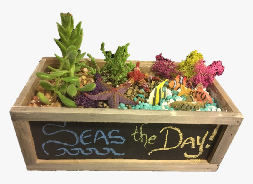 Flowerpot, HD Png Download