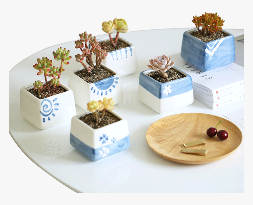 Decorative Black French Dog Resin Cactus Pot - Stonecrop Family, HD Png Download