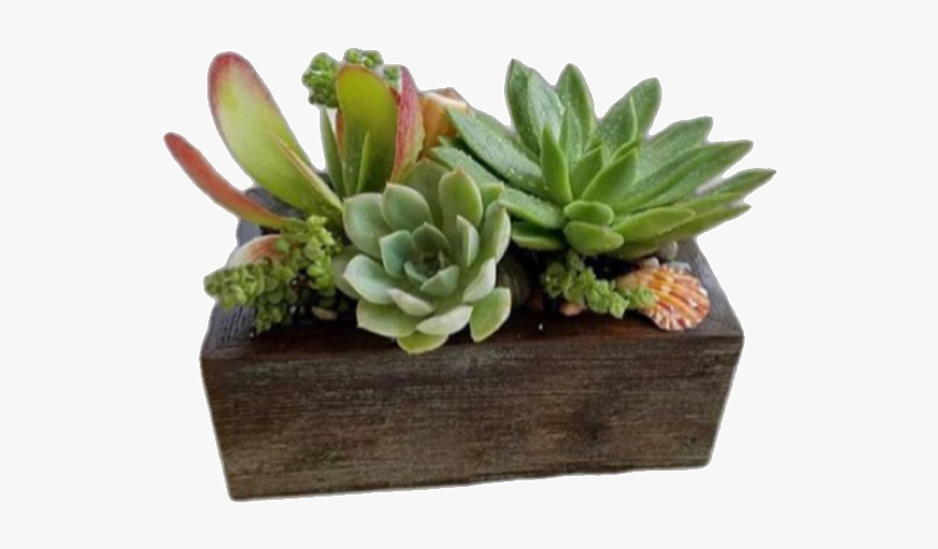 Flowerpot, HD Png Download