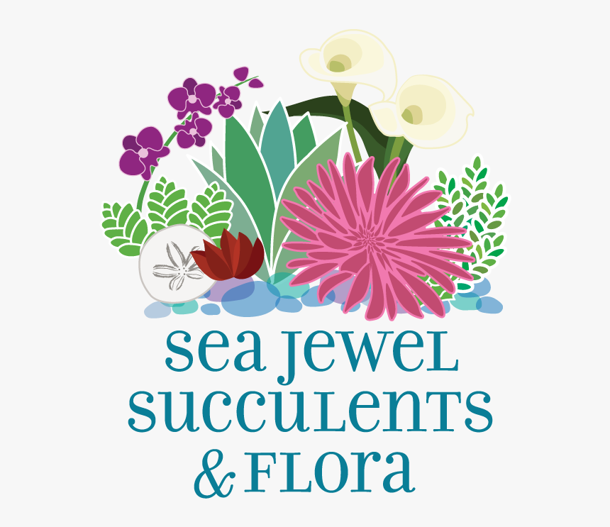 Sea Jewel Succulents & Flora - Bouquet, HD Png Download
