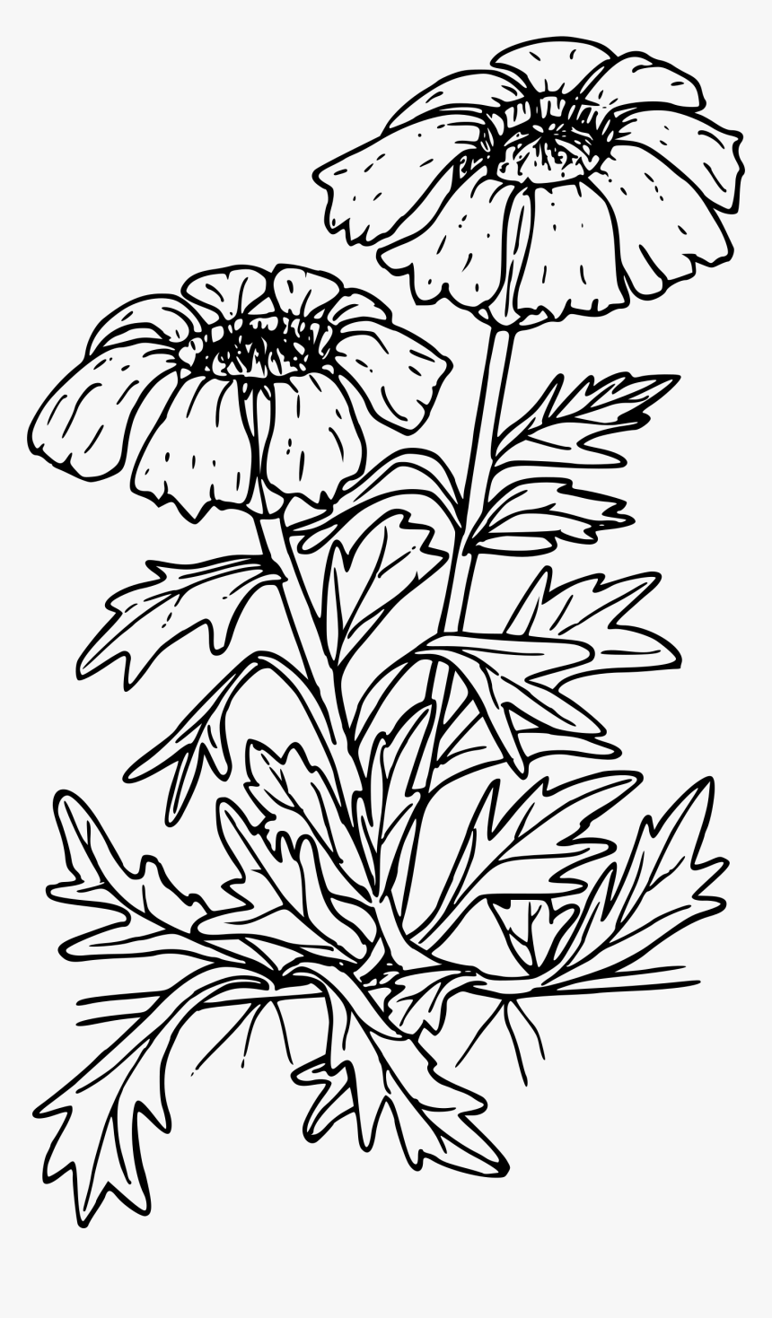 Oregon Sunshine Clip Arts - Lesson Plan, HD Png Download