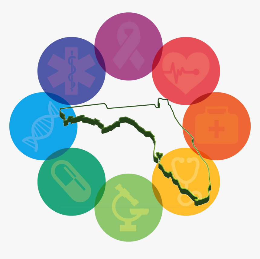 Circle, HD Png Download