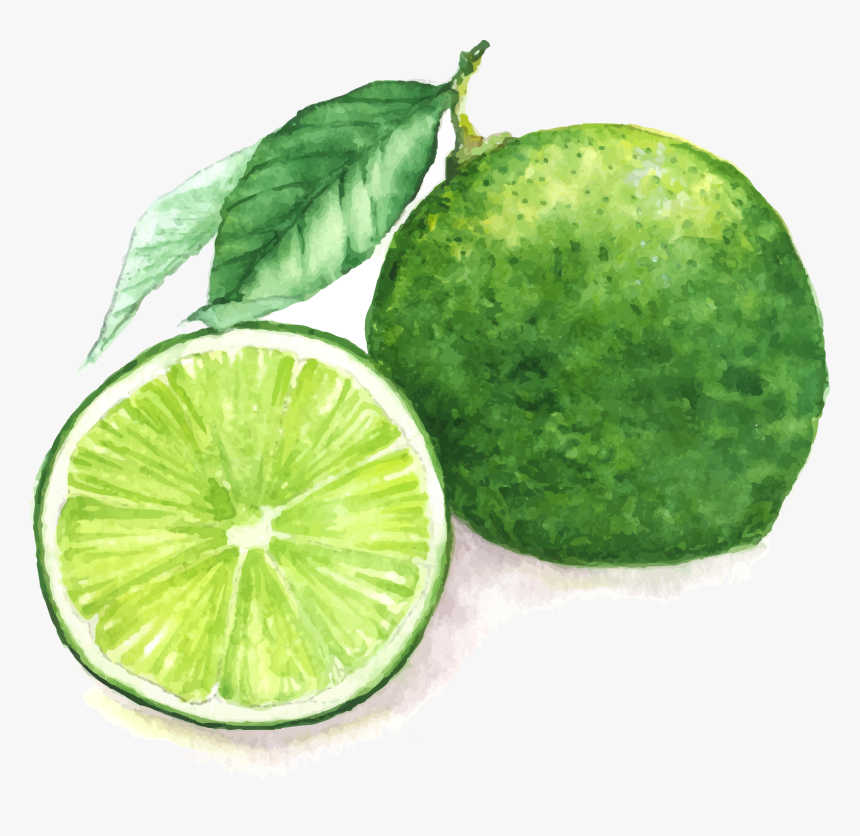 Drawing Lemon Sweet Lime, HD Png Download