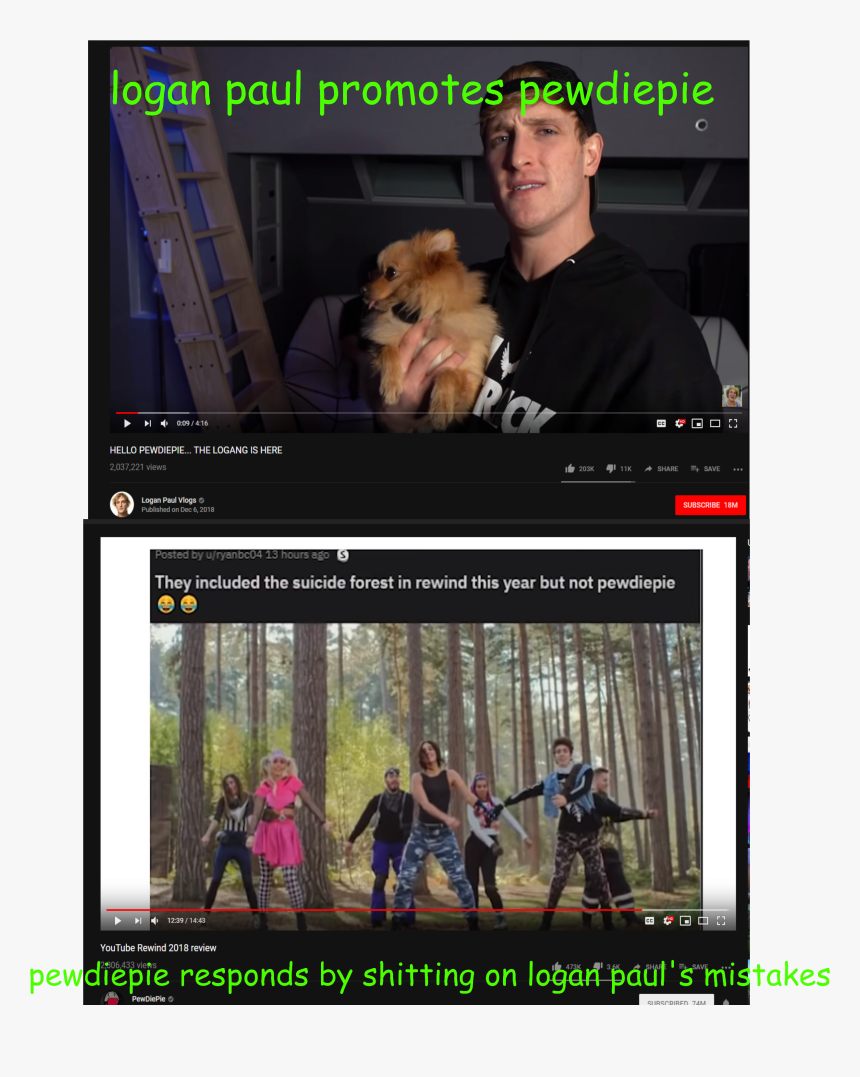 Companion Dog, HD Png Download