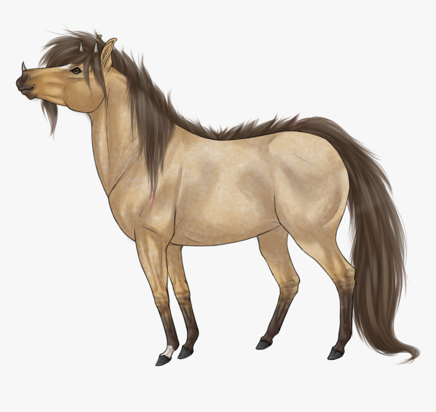 Mane, HD Png Download