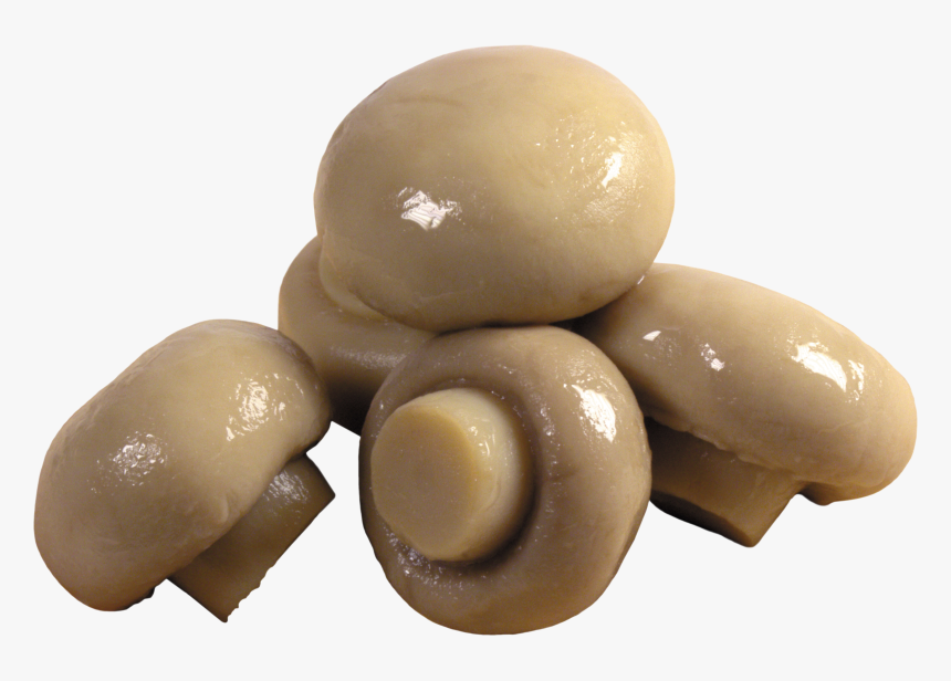 Mushroom Png Food, Transparent Png