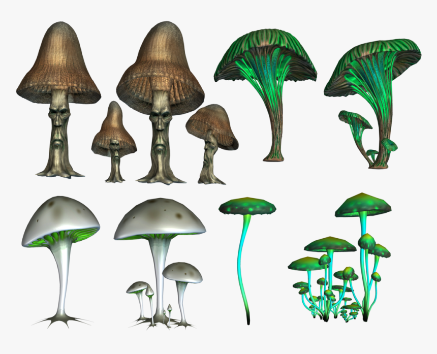 Mushroom Png Image, Transparent Png
