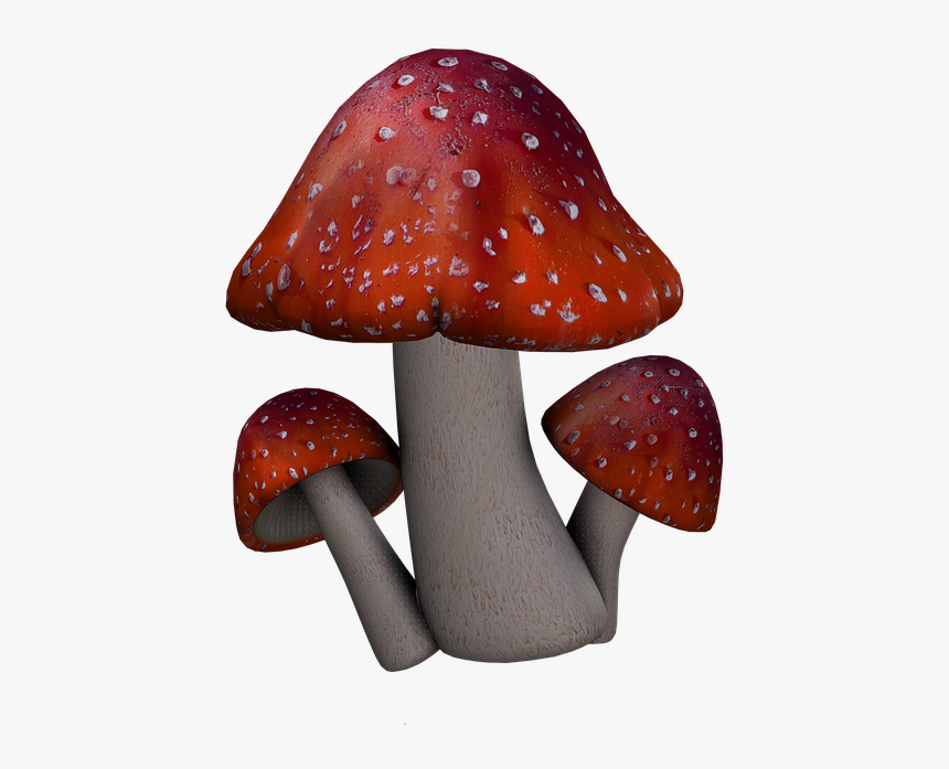 Red Mushroom Png - Fantasy Mushrooms Png, Transparent Png