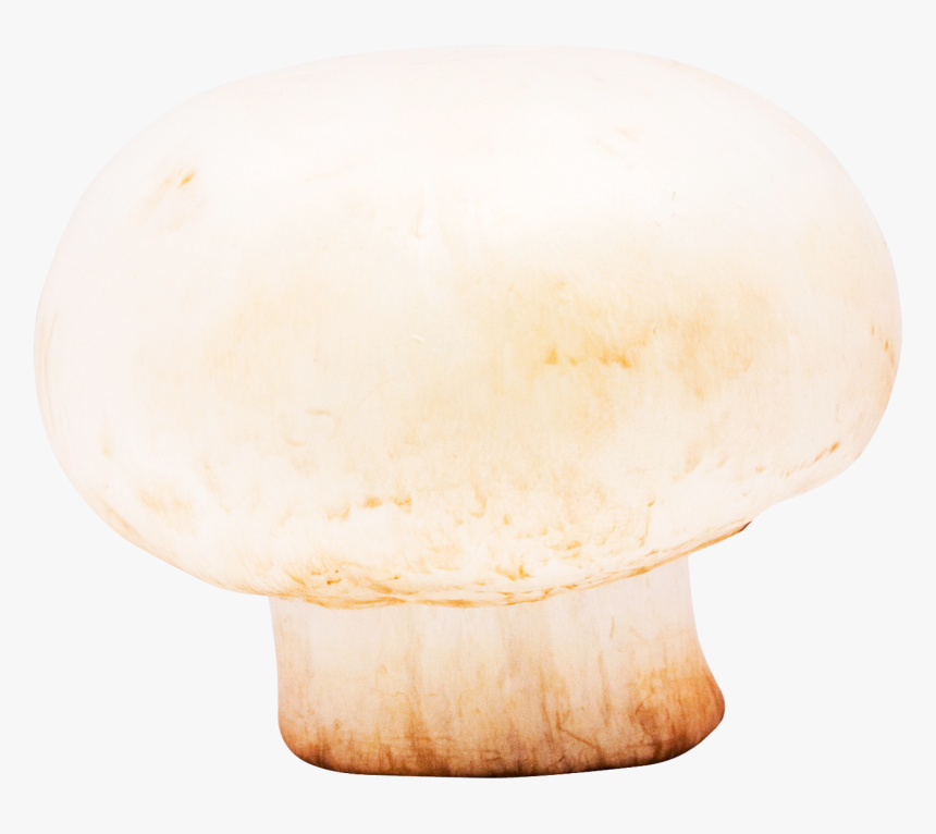 Mushroom - Wood, HD Png Download