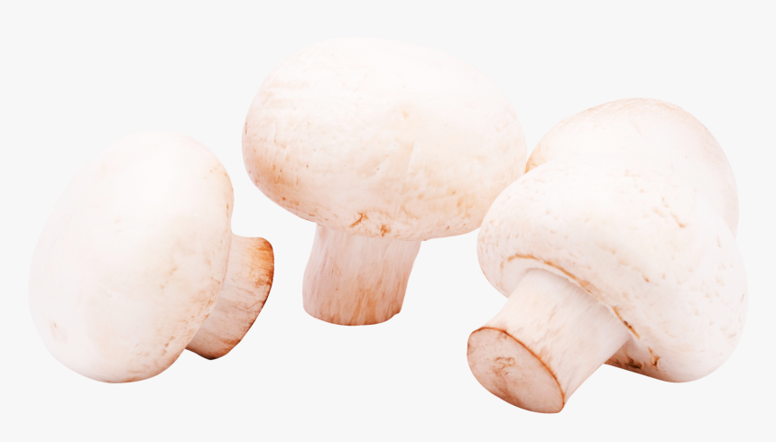 Mushroom Png, Transparent Png