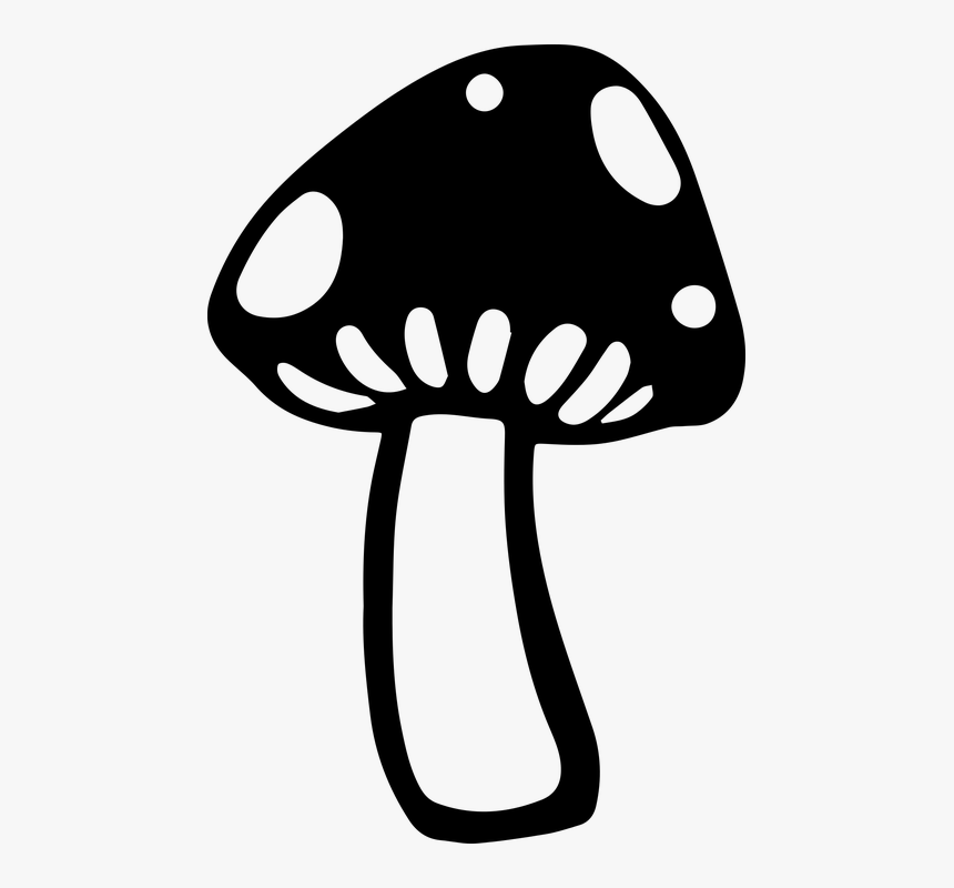 Mushroom, Fungi, Fungus, Nature, Forest, Plant, Food - Mushroom Png Black And White, Transparent Png