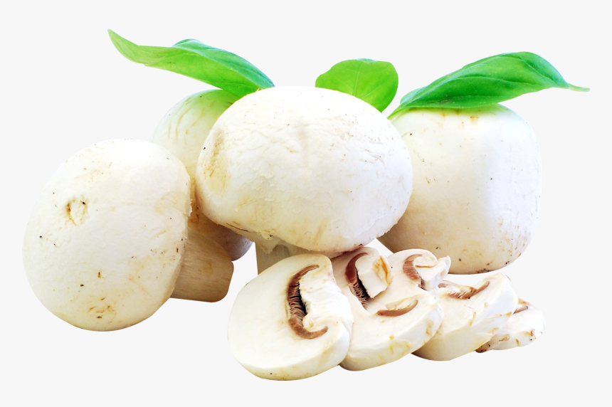 Champiñones Sin Fondo, HD Png Download