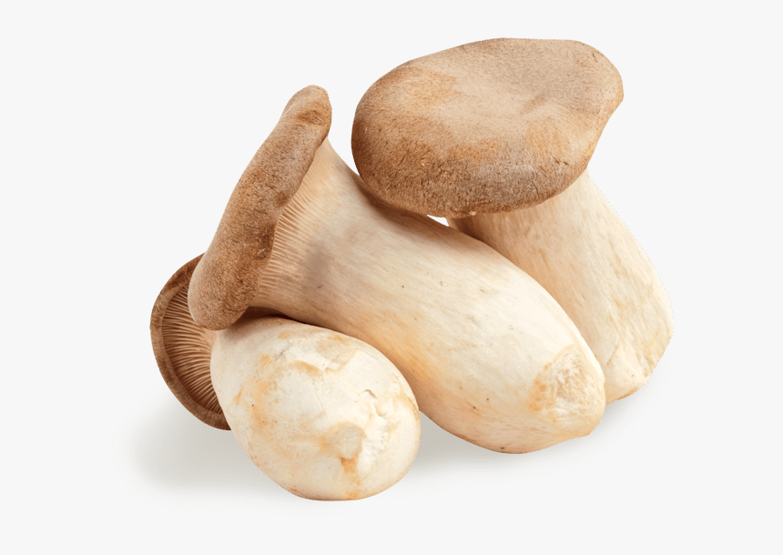King Oyster Mushroom Png, Transparent Png