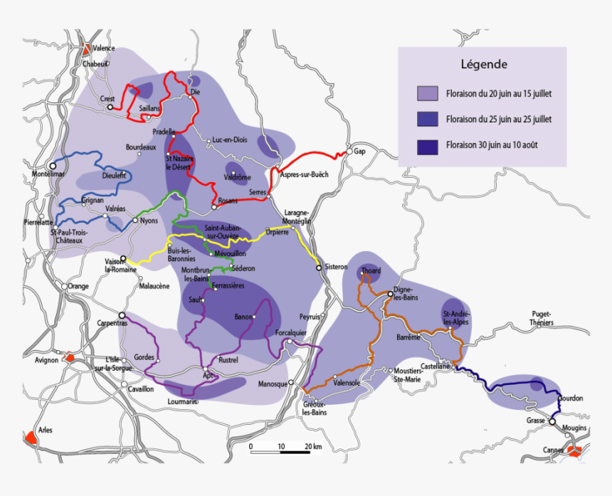 When And Where Does Lavender Bloom In Provence - Lavender Route Provence Map, HD Png Download