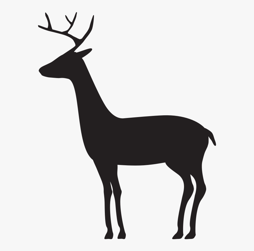 Reindeer, HD Png Download