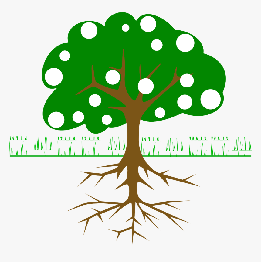 Orange Tree Clipart Png, Transparent Png