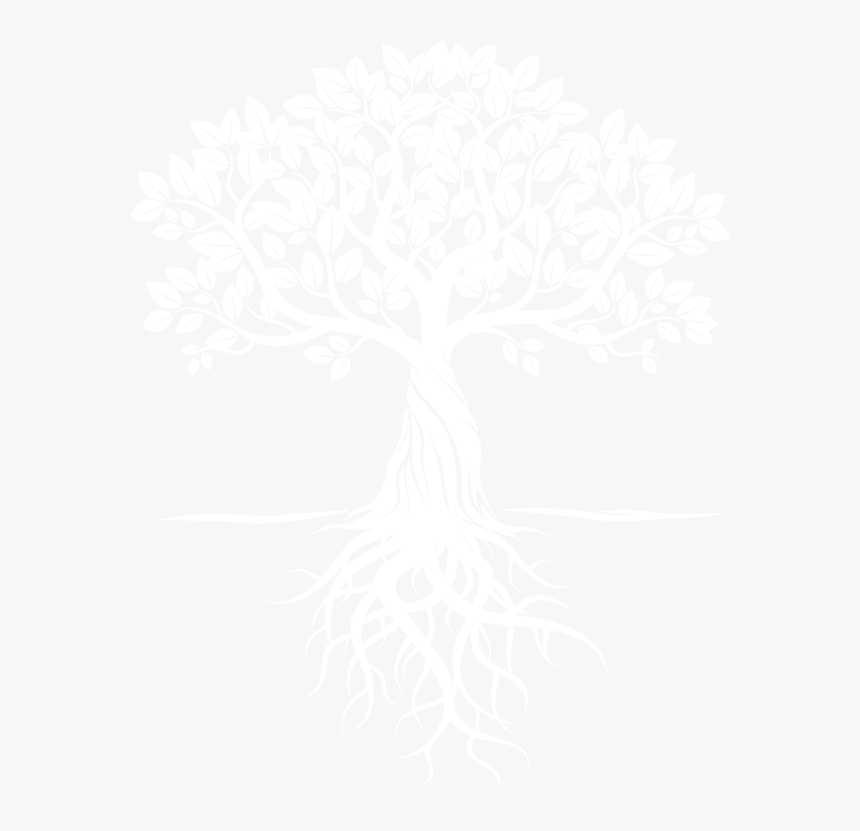 Transparent Tree Png Black And White - Rooted In Christ T Shirt, Png Download