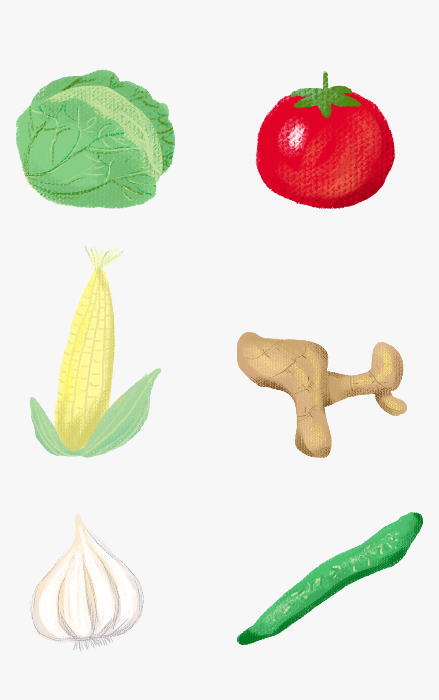 Hand Drawn Cute Vector Cartoon Png And Psd - ผัก การ์ตูน น่า รัก ๆ, Transparent Png