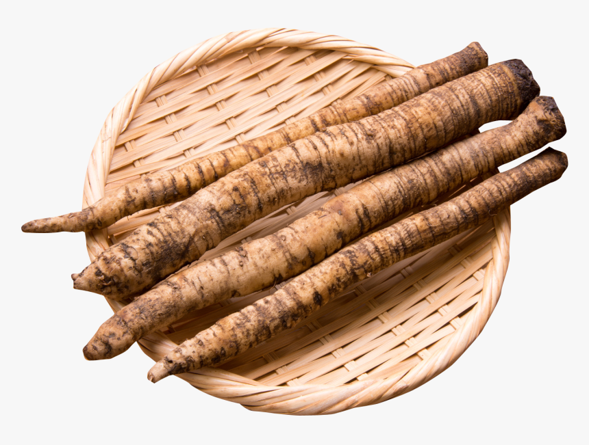 Burdock Png, Transparent Png