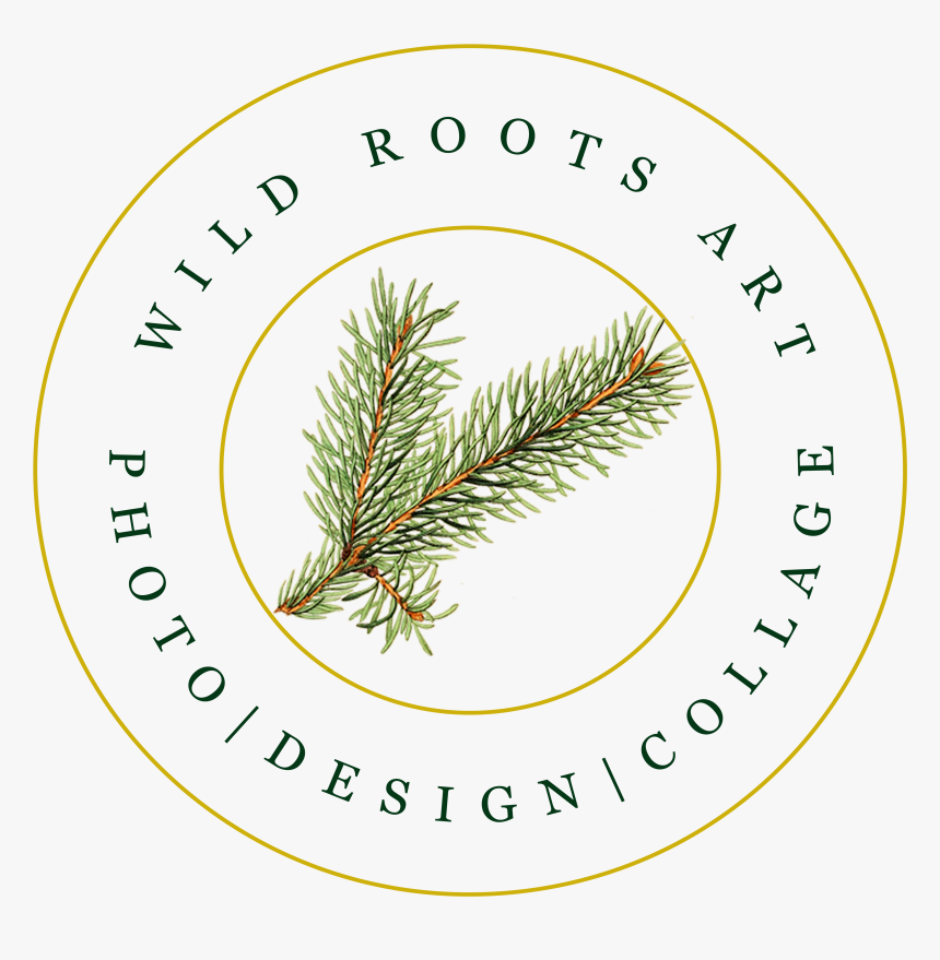 Roots Png, Transparent Png