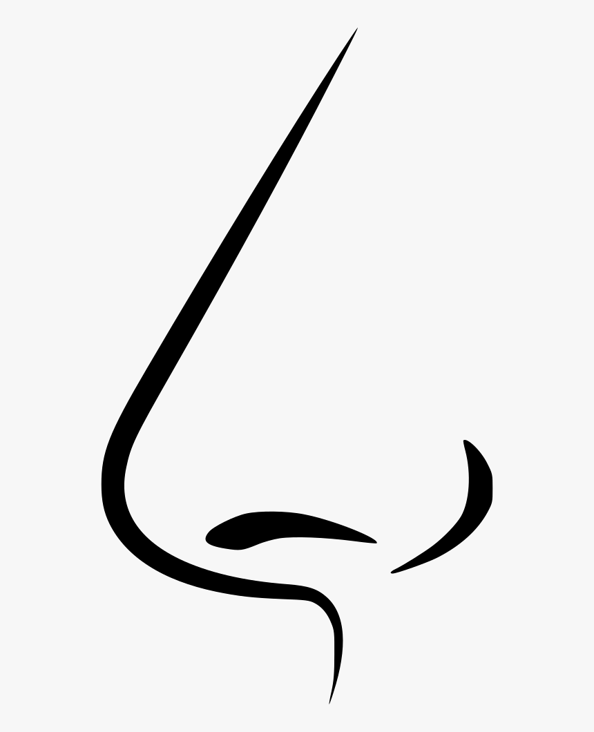 Nose, HD Png Download