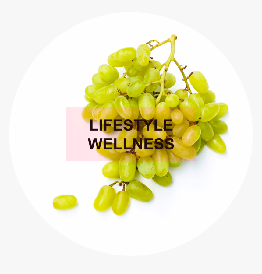 5d8a5248 - Sultana, HD Png Download