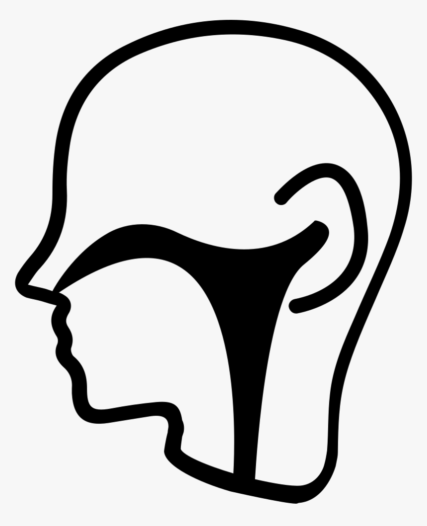 Ear Nose Throat Section - Ear Nose And Throat Icon, HD Png Download