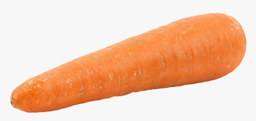 Nose Clipart Carrot - Fat Carrot, HD Png Download