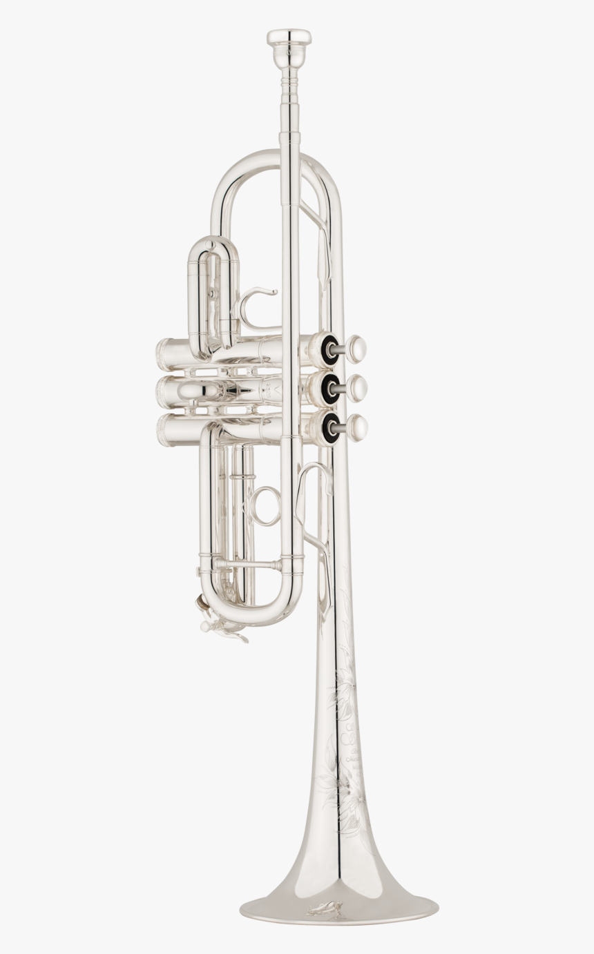 Model, HD Png Download