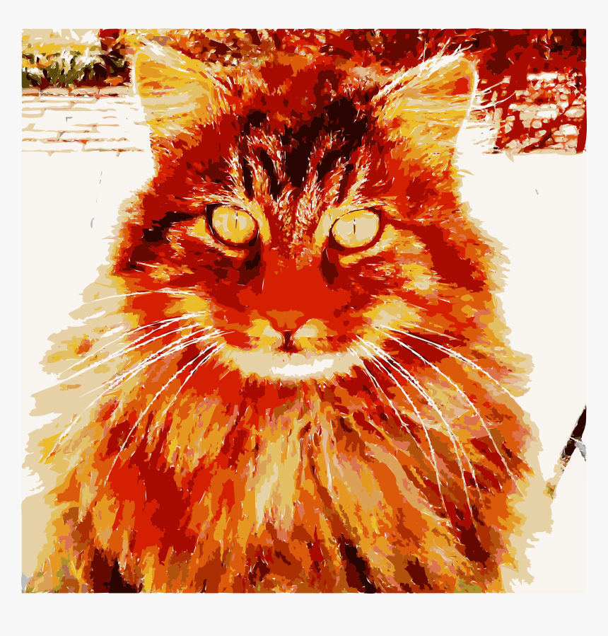 Barack The Cat Says Happy Birthday To Zelda Clip Arts - Cat, HD Png Download