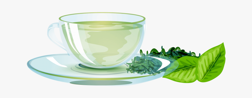 Green Tea Png Image Free Download Searchpng - Green Tea Png, Transparent Png