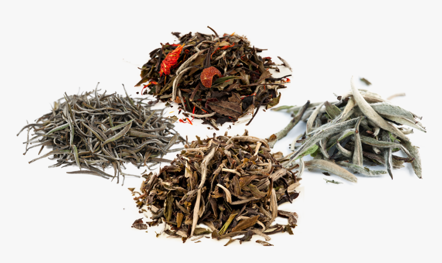 Organic White Tea Sampler - White Tea, HD Png Download