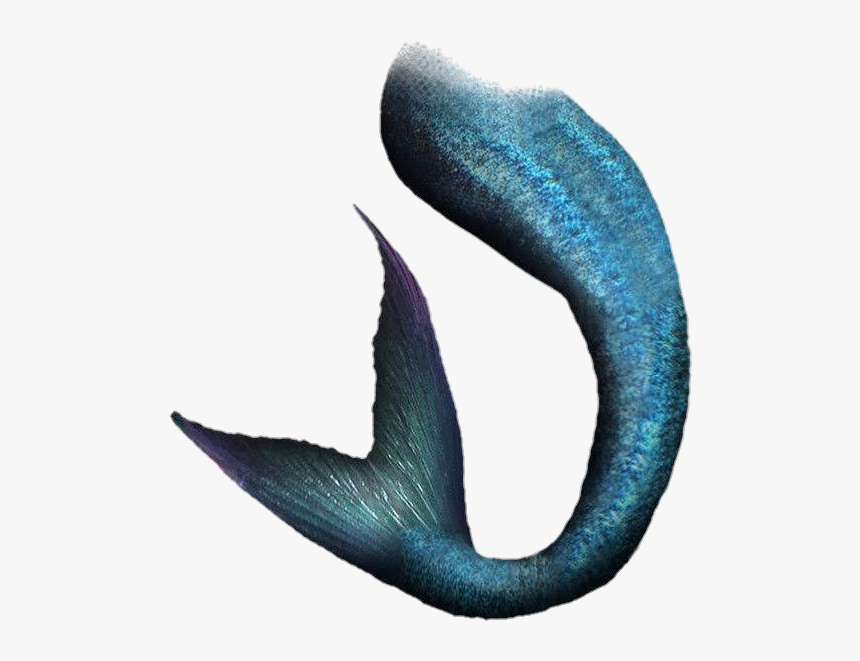 Pngs, Mermaids Tail, And For Wattpad Image - Mermaid Tail Png, Transparent Png
