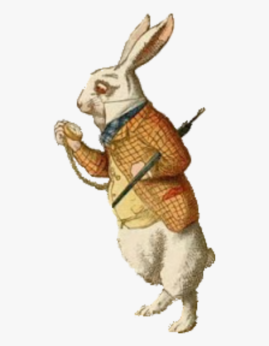 Transparent Alice In Wonderland Rabbit Png - Rabbit With Pocket Watch, Png Download