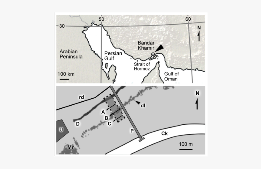 Above, Bandar Khamir - Map, HD Png Download