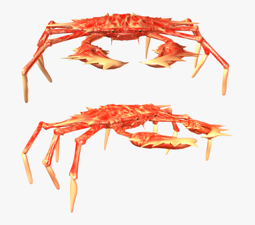 23718 - Freshwater Crab, HD Png Download
