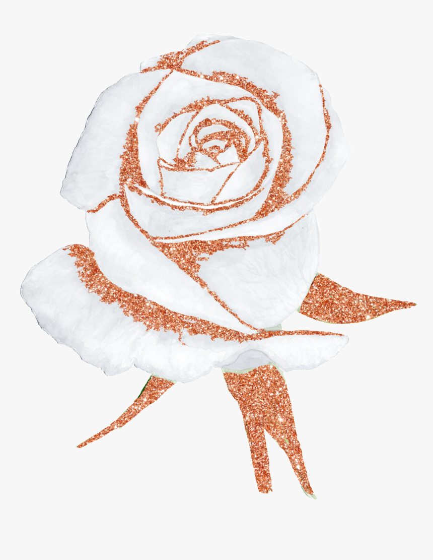 Hand Painted A White Rose Png Transparent Free Download - Rose Gold Watercolor Flower, Png Download