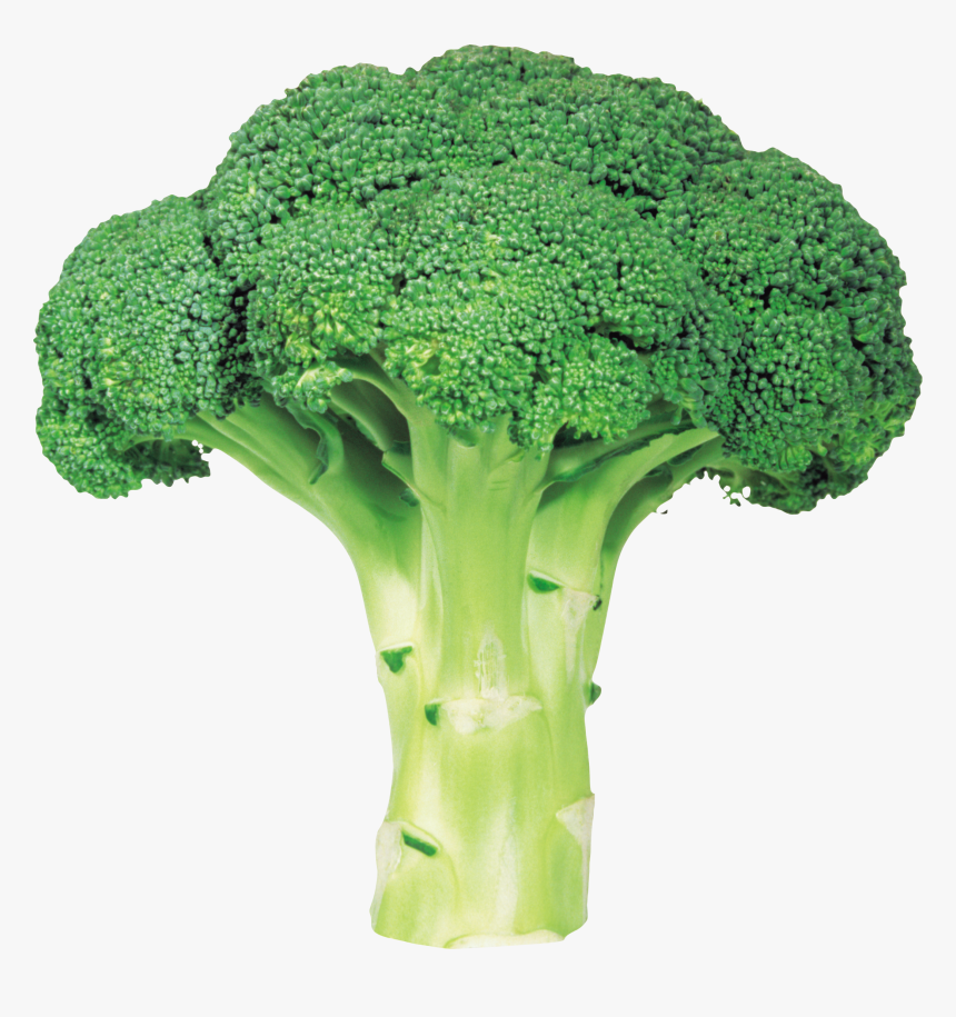 Broccoli Png Image With Transparent Background - Broccoli Png, Png Download