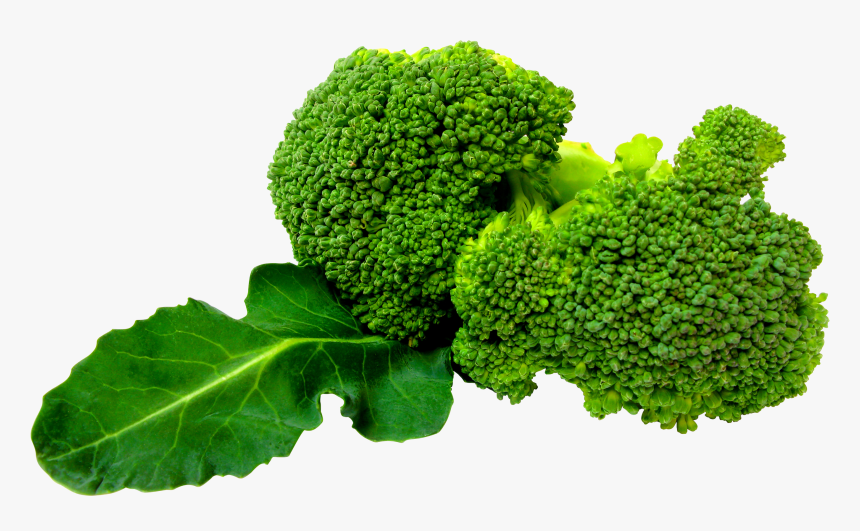 Vegetable Png - Broccoli Png, Transparent Png