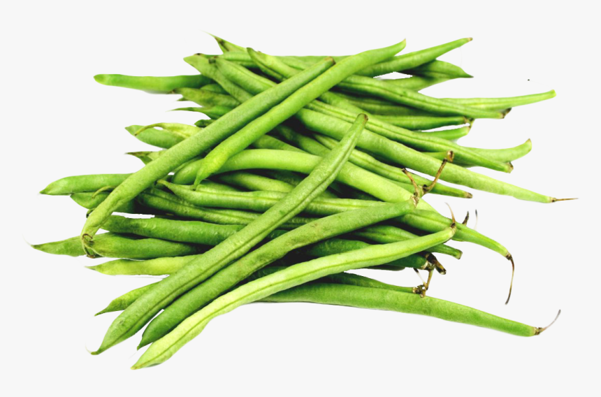 Green Bean Png Background - Green Beans Transparent Background, Png Download