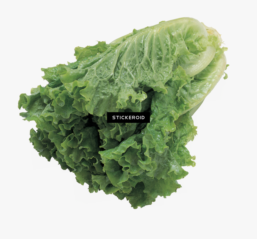 Butter Lettuce Vegetable Seeds , Png Download - Green Salad Transparent Background, Png Download