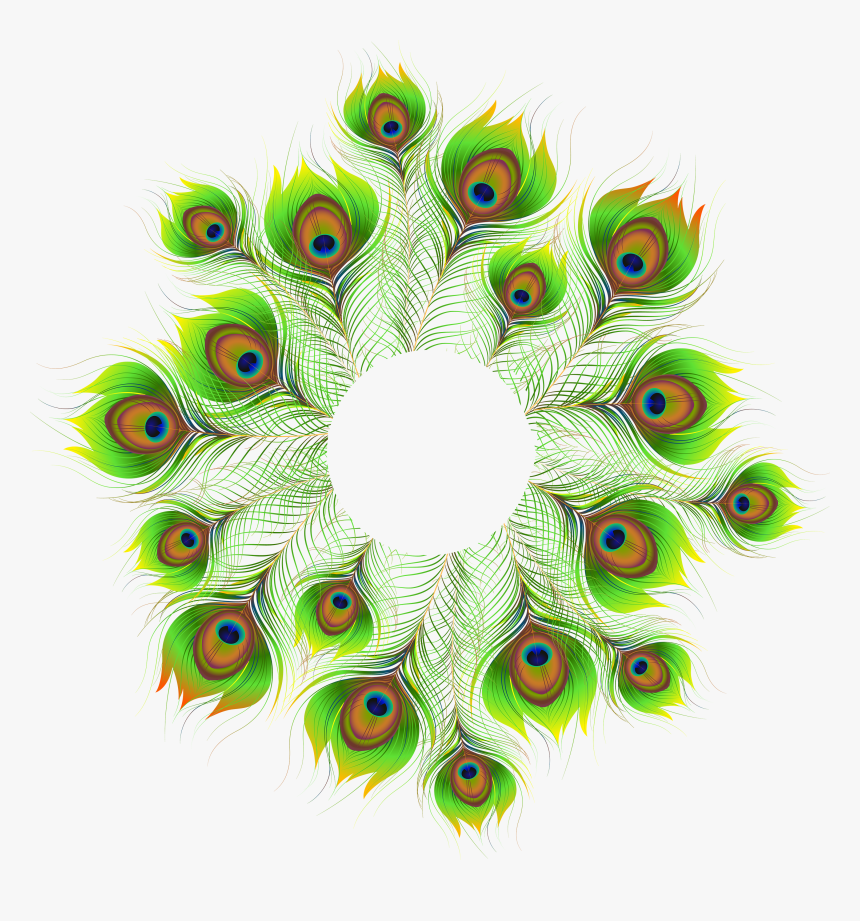 Peacock Feathers Png, Transparent Png
