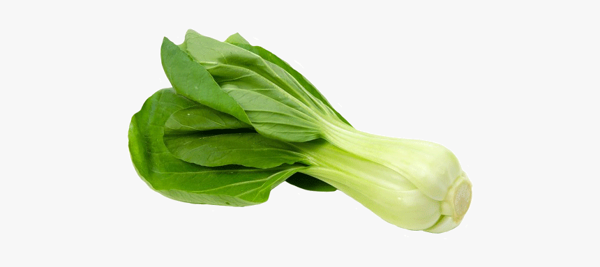 Vegetable,leaf Sum,leaf,flower,chinese Plant,spinach,romaine - Bok Choy In Italiano, HD Png Download