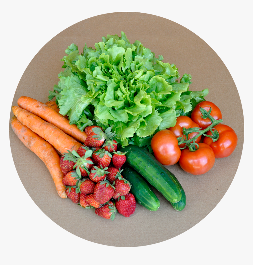 Whole Foods Fruits, Vegetables, Meat, Dairy, Eggs - Vegetable Basket Top View Png, Transparent Png